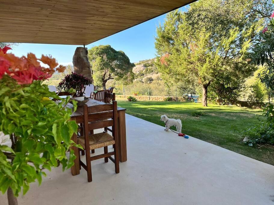 Holiday home Newly Renovated Traditional Sardinian Dwelling *